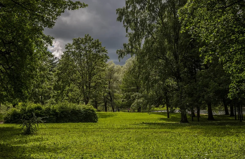Przed sprzątaniem